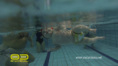 /album/bebes-al-agua-/captura-de-pantalla-2014-03-02-a-la-s-17-37-58-png1/